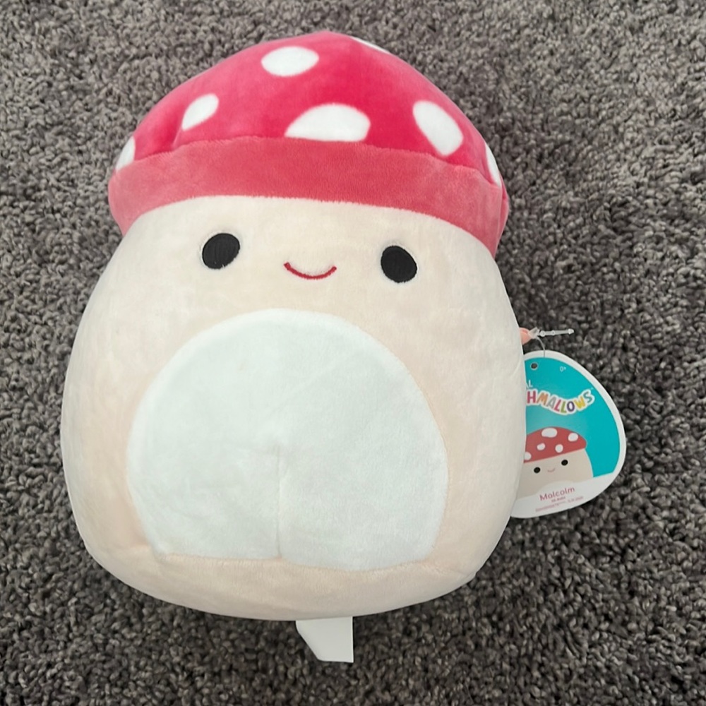 10 Inch Mushroom Squishmallow